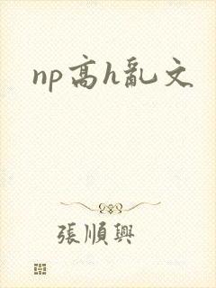 np高h乱文