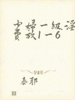 少妇一级淫片免费放1一6封面