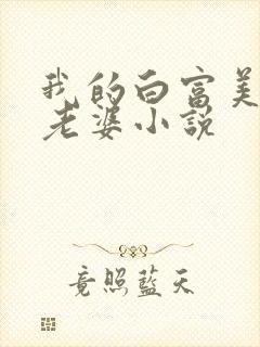 我的白富美总裁老婆小说