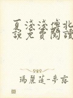 夏浅浅傅北宸小说免费阅读最新章节