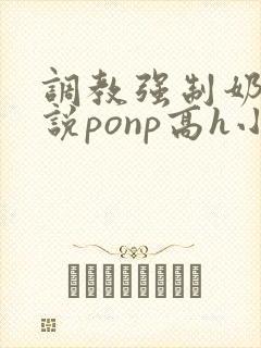 调教强制奶子小说ponp高h小说