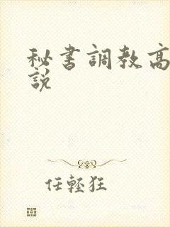 秘书调教高h小说