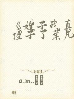 《嫂子我真不是傻子了叶凡》