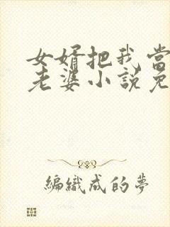 女婿把我当成他老婆小说免费阅读封面