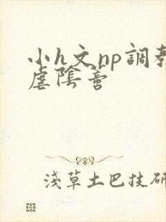 小h文np调教虐阴蒂