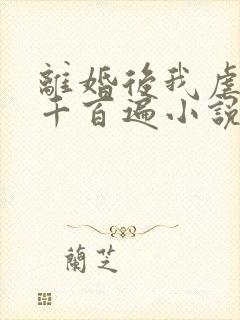 离婚后我虐前夫千百遍小说