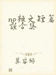 np辣文短篇小说合集