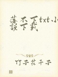 落不下txt小说下载封面