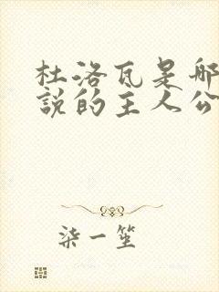 杜洛瓦是哪部小说的主人公封面