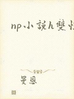 np小说h双性