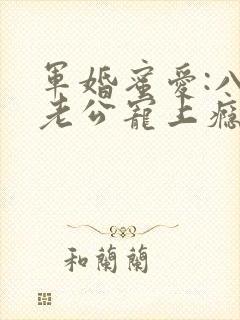 军婚蜜爱:八零老公宠上瘾 小说完整