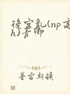 后宫乱(np高h)青卿