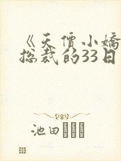 《天价小娇妻:总裁的33日索情》txt封面