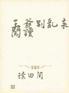 王爷别乱来全文阅读