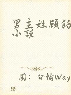 男主姓顾的现代小说