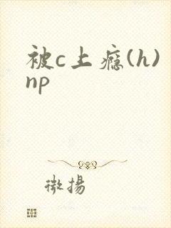 被c上瘾(h)np