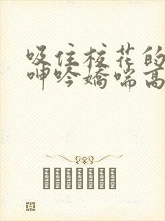 吸住校花的奶头呻吟娇喘高潮小说