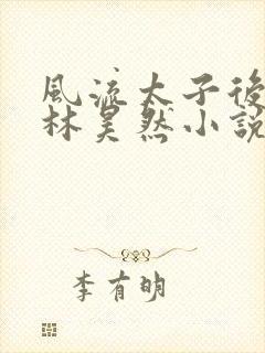 风流太子后宫传林昊然小说封面