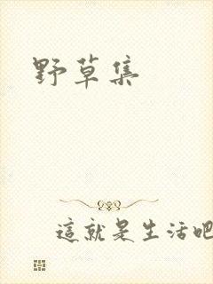 野草集封面