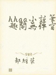 hhaa小说笔趣阁无弹窗最新章节