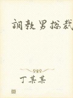 调教男总裁失禁