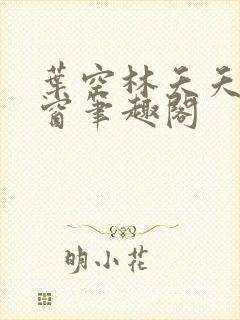 叶空林夭夭无弹窗笔趣阁