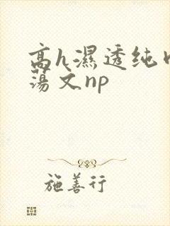 高h湿透纯肉放荡文np