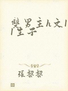 双男主h文1v1生子封面