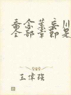 乔念叶妄川小说全部章节是多少节