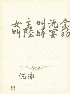 女主叫沈念男主叫陆时宴的小说封面