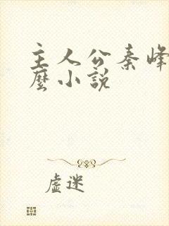 主人公秦峰是什么小说