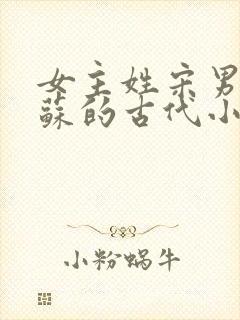 女主姓宋男主姓苏的古代小说封面