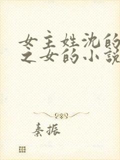 女主姓沈的丞相之女的小说
