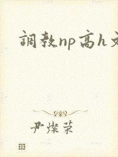 调教np高h文封面