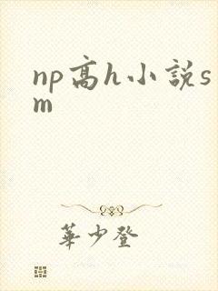 np高h小说sm