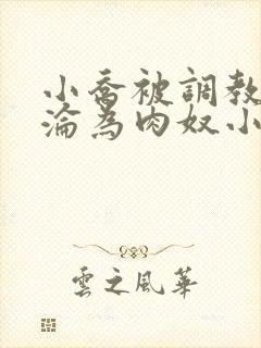 小乔被调教喷水沦为肉奴小说封面