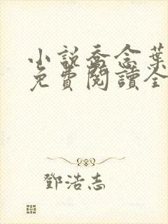 小说乔念叶妄川免费阅读全文封面