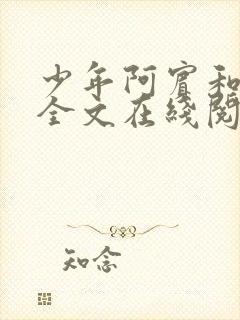 少年阿宾和房东全文在线阅读