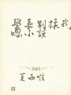 学长别揉我胸啊嗯小说