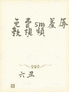 免费sm羞辱调教视频封面