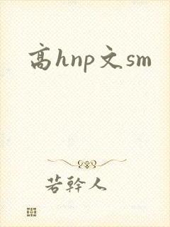 高hnp文sm