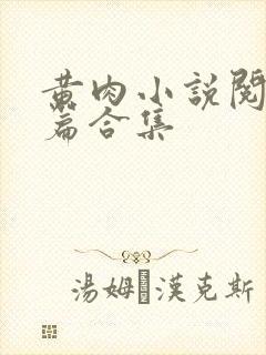 黄肉小说阅读短篇合集