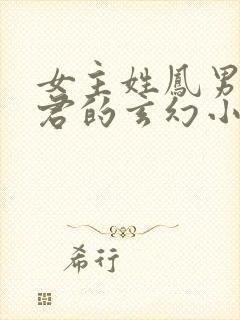 女主姓凤男主姓君的玄幻小说