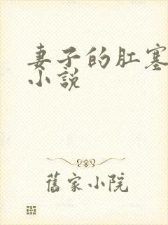 妻子的肛塞调教小说封面