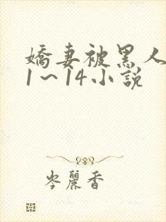 娇妻被黑人伦轩1～14小说封面