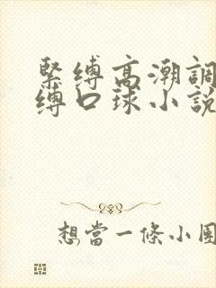 紧缚高潮调教束缚口球小说