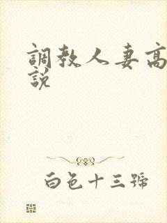 调教人妻高h小说