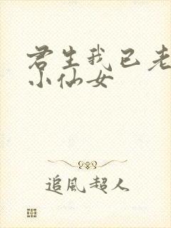 君生我已老有声小仙女封面
