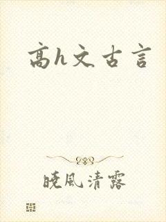 高h文古言封面
