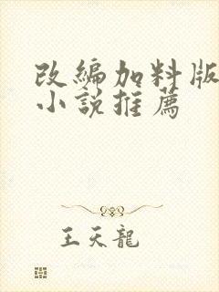 改编加料版同人小说推荐